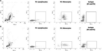 Detection of Signal Regulatory Protein α in Saimiri sciureus (Squirrel Monkey) by Anti-Human Monoclonal Antibody